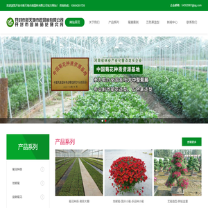 开封市园林菊花研究所