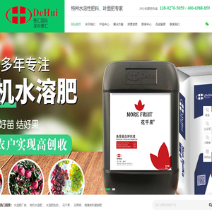 深圳德汇进出口贸易有限公司