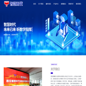 西安软件公司