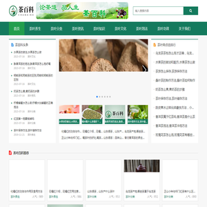 云视觉