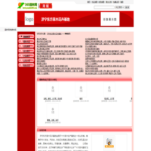 查查哒 - 实用在线工具查询网站