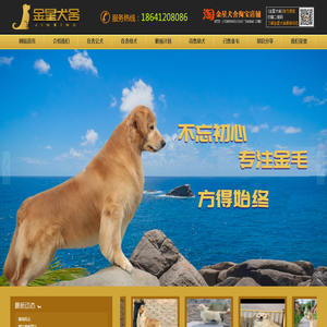 宁都县雅都日用品粉扑厂