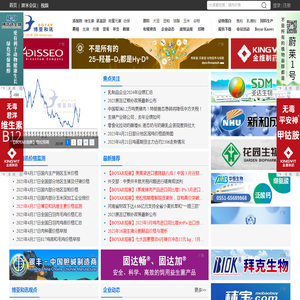 南非航空公司