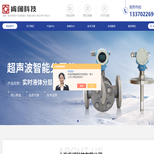 在线音叉密度计