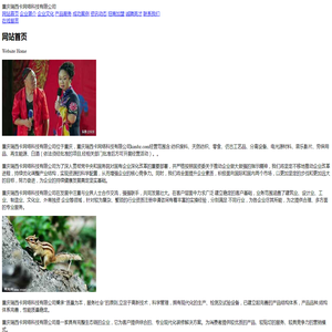 重庆瑞西卡网络科技有限公司