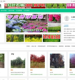 网站首页