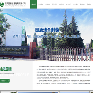 西安国康瑞金制药有限公司