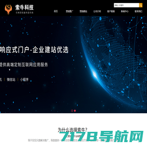 广州浪鱼网络科技有限公司 - 广州8年专业网站建设小程序制作设计,做开发就找浪鱼网络