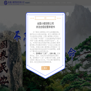 泰通小额贷款有限公司