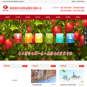 湖北同彩白蚁防治服务有限公司