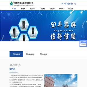 东莞市智中电子有限公司