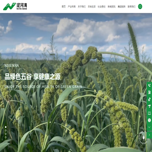 泥河湾集团