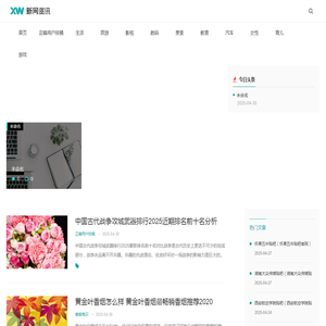 探针志峰经验网
