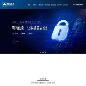 深圳市网鸿信息科技有限公司