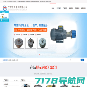 齿轮油泵-江苏双向泵阀有限公司