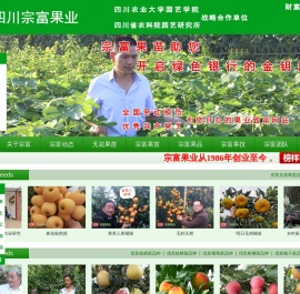 成都天府新区宗富水果种植专业合作社