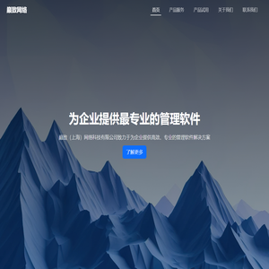 巅致网络