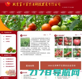 蕃茄西红柿种子_大小番茄种子新品种_青西红柿番茄网