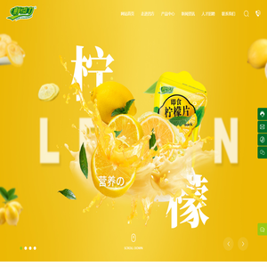 河北四方食品有限公司,果干,果干厂家
