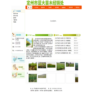 定州市蓝大苗木经销处