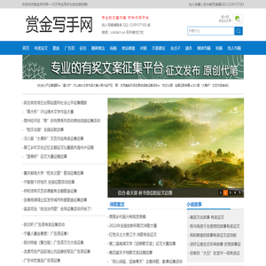 赏金写手网