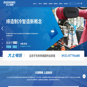 青岛大上电器有限公司