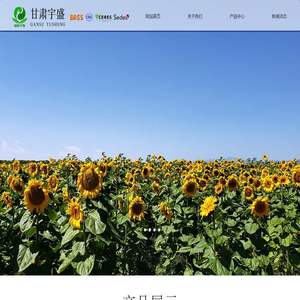 甘肃宇盛农产品开发有限公司