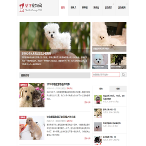 茶杯犬,茶杯猫,小香猪,迷你袖珍泰迪贵宾狗
