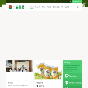 丰岛控股集团