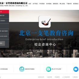 百度优化公司