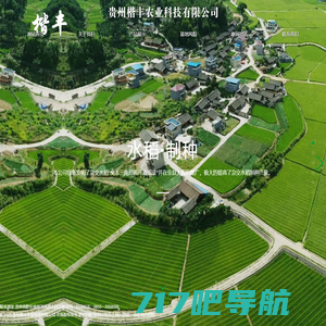 贵州楷丰农业|贵州水稻种子|水稻培育技术|贵州水稻制种