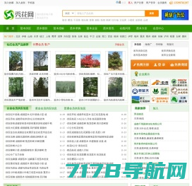 秀花网-绿化苗木花卉推广B2B网站