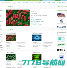 Exosome 外泌体|Realtime PCR|荧光定量pcr|Western Blot|北京唯辉生物技术有限公司