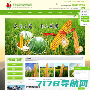 玉米种子代理_优质玉米种子_高产玉米种子-晋中龙生种业有限公司