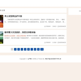 九严网
