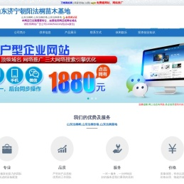 济宁法桐树,法桐价格,法桐基地――山东济宁朝阳法桐苗木基地(xiouim.epyes.com)