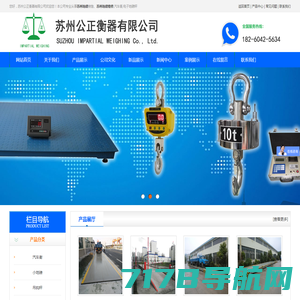 电子地磅,称重机,轮椅秤-上海恒刚仪器仪表有限公司