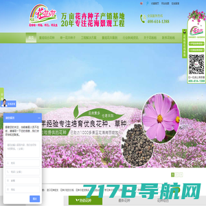 花卉种子批发,景观花种批发,花卉种子销售--花啦啦花卉种业第一品牌