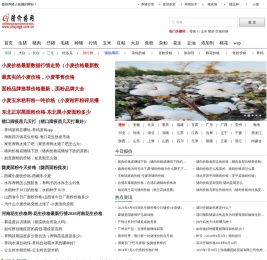 猪价格网
