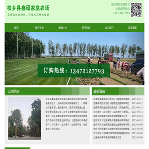 河北省石家庄市栾城区草坪种植基地