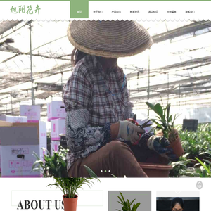 托育早教加盟