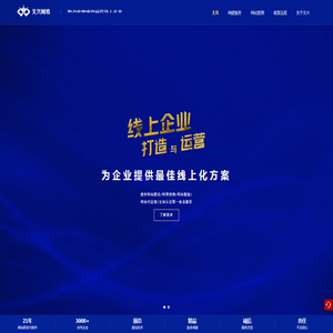 文兴网络