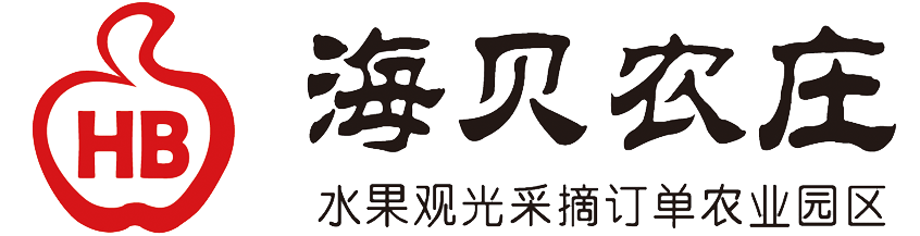 首页