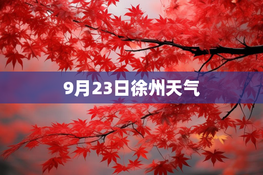 个人气候总结