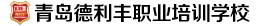 青岛德利丰职业培训学校