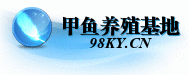 甲鱼网