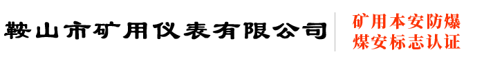 鞍山市东方仪器仪表厂