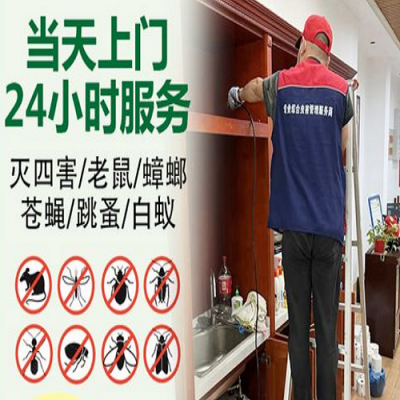 安阳灭鼠