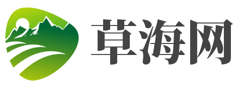 综合