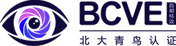 BCVE培训